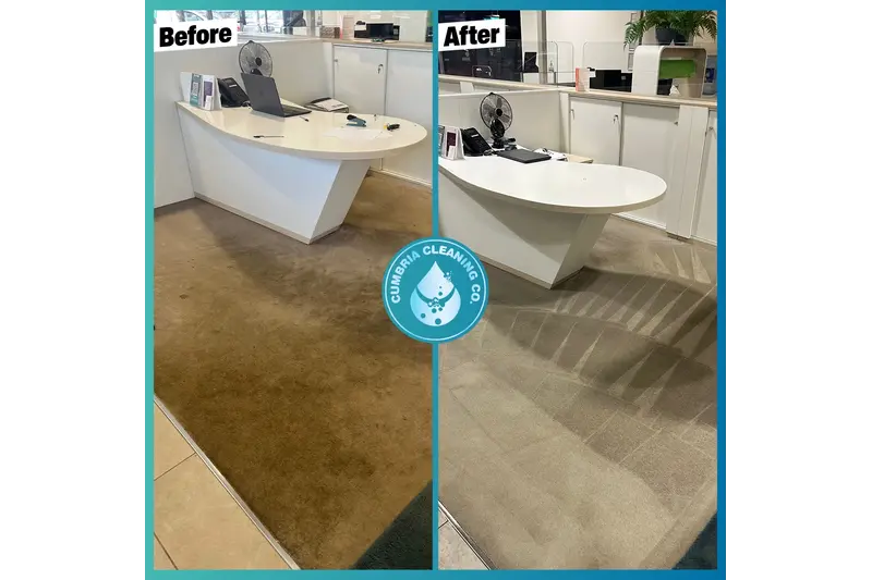 Upholstery cleaning before and after comparison